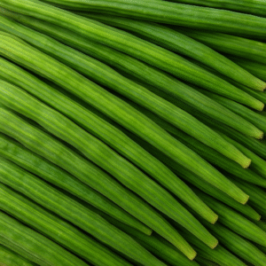 Drumstick